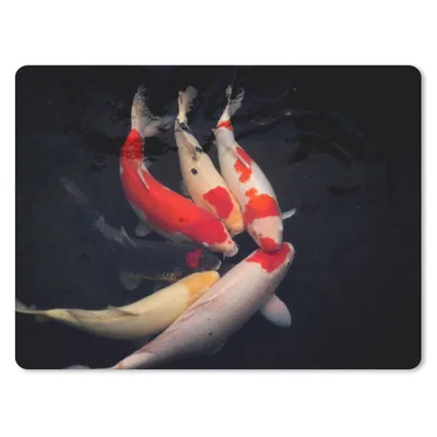 Produktbild von MuchoWow® Mauspad Mousepad Sechs Koi-Karpfen vor einem schwarzen Hintergrund 23x19 cm - Mousepads - Maus Mat - Pad - Mausunterlage - Schreibtischunterlage - Mauspad