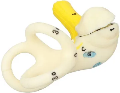 Produktbild von Anatomisches Lehrmodell PVC Halbmondkanal Model 5X Vergroting