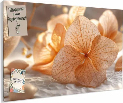 Produktbild von Magnettafel 90 x 60 cm „Hortensie in Apricot“ – Magnetwand aus Metall, beschreibbar mit Whiteboard-Marker – Memoboard für Küche & Büro