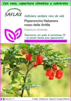 Immagine prodotto di SAFLAX Garden to go - Peperoncino Habanero rosso delle Antille - 10 semi - Capsicum