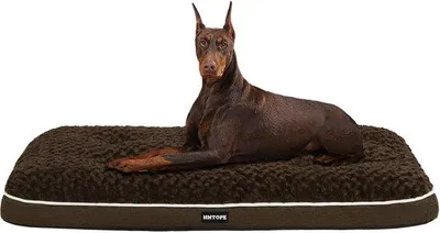 Immagine prodotto di Cuccia ortopedica per cani, marrone, 120 cm, lavabile, a doppio fondo