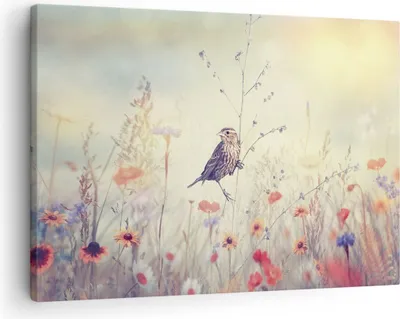 Produktbild von Bild auf Leinwand - Leinwandbild - Einteilig - Vogel Wildschwein Wiese - 70x50cm - Wand Bild - Wanddeko - Wandbilder - Leinwanddruck - Bilder - Wanddekoration - Leinwand bilder - AA70x50-4279