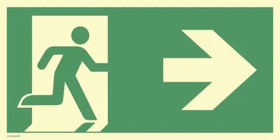 Image de Pictogramme DIN EN ISO 7010 L297xl148 mm - 9300FHL148R