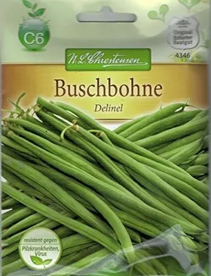 Produktbild von Buschbohne Delinel | Buschbohnensamen von N.L. Chrestensen