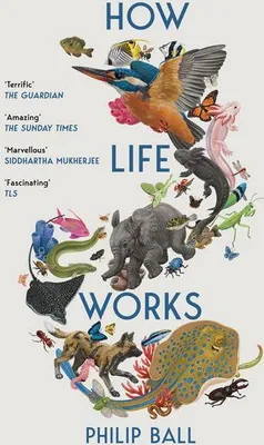 Zdjęcie produktu dla How Life Works