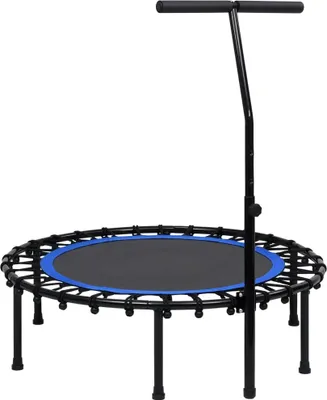 Obrázok produktu pre Fitness trampolína s rukoväťou 102 cm