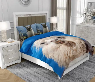Produktbild von Bettwäsche 200x220 cm + 2x70x80 cm, 3-teilig, 100% Baumwolle, Satin, Reißverschluss, Bunt - SOVIO | So.Z0024