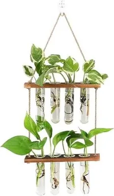 Produktbild von Hängen Pflanzgefäße, 2 Stufen Propagation Station, Ableger Pflanzen Glas mit Holzständer, Wandvasen für Hydrokultur Pflanzen, 8 Reagenzglas vasen