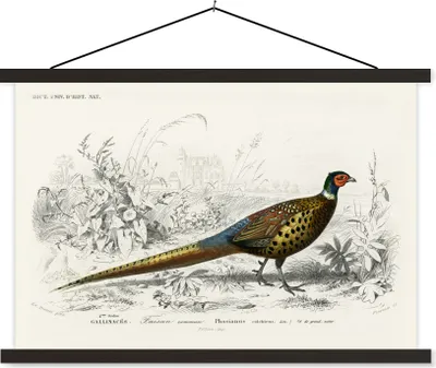 Produktbild von MuchoWow® Textilposter Vogel - Fasan - Jahrgang 150x100 cm mit schwarzem Rahmen - Schlafzimmer
