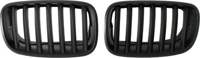 Immagine prodotto di Griglia radiatore PREMIUM in nero per BMW X6 E71 2008-14