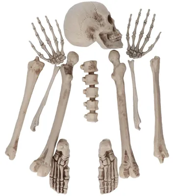 Halloween-Dekorationsset – Skelett, 12-teilig, Grau