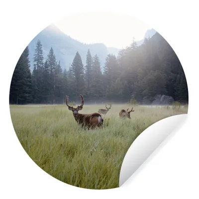 Produktbild von MuchoWow® Runde Wandtattoo - Wandsticker Tapete Aufkleber Wald - Hirsche - Nebel Ø 50 cm Selbstklebend und Repositionierbar - Wandaufkleber - Kreis - Wand Kreis - Wand Bild - Foto Tapete - Selbstklebende - Wohnzimmerdekoration - Wand Dekoration - Kinderzimmer