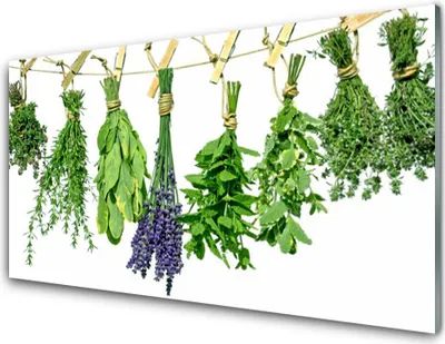 Produktbild von Acrylglasbilder 100x50 Wandbild Druck Blumen Blätter Pflanzen