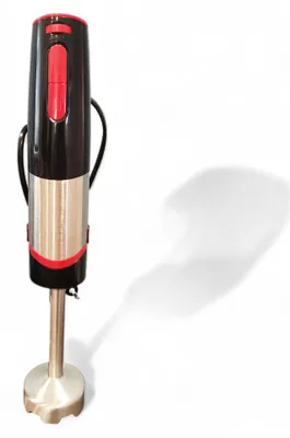 Obrázek produktu pro Ponorný mixér z nerezové oceli o výkonu 600 W s nádobou a 2 nastavitelnými rychlostmi