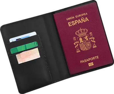 Image de Scapade - Portefeuille passeport AirPass avec Apple Find My