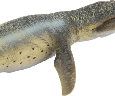 Produktbild von Simulation Gelb Kronosaurus Dinosaurier Modell Lernspielzeug für KinderGelb