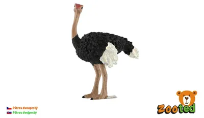 Produktbild von Strauß, Zweifinger-Modell, Zooted-Kunststoff, 11 cm