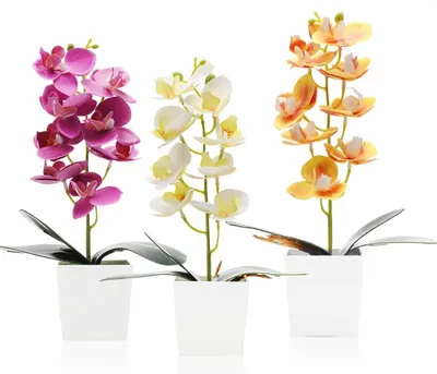 3er-Set Kunstorchideen 30 cm, Phalaenopsis, Kunstblumen wie echt
