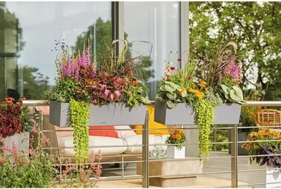 Immagine prodotto di LECHUZA Balconera Vaso da fiori, Stone 80, 79 x 19 x 19 cm, 12 L, Set completo, Grigio pietra