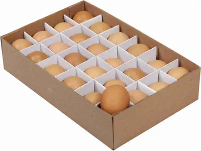 Produktbild von 24 Hühnereier ausgeblasen braun ca 6cm natur Eier Ostereier Ostern basteln