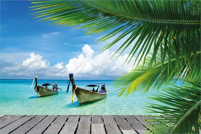 Produktbild von Wallario selbstklebendes Poster - Sonnenboot in der Karibik, Größe: 61 x 91,50 cm