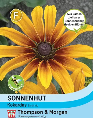 Produktbild von Sonnenhut Kokardas | Sonnenhutsamen von Thompson & Morgan