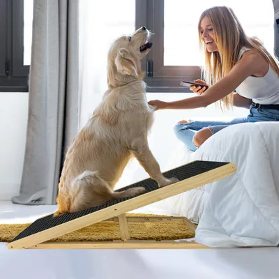 Produktbild von YZNAHRE Hunderampe 100cm Hundetreppe Holz Faltbar Höhenverstellbar Haustiertreppe mit Rutschfester Trittmatte Hunde Treppen für Bett Sofa, 100x40x60cm