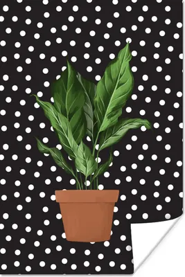 Produktbild von MuchoWow® Poster Pflanzen - Blumentopf - Dots 40x60 cm - Plakate für die Wand - Poster Babyzimmer
