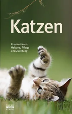 Produktbild von Katzen