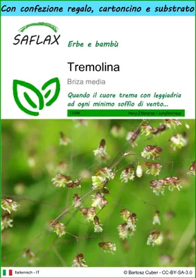 Immagine prodotto di SAFLAX Set regalo - Tremolina - 75 semi - Briza