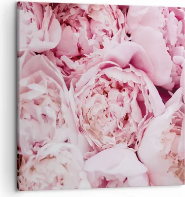 Produktbild von Bild auf Leinwand - Leinwandbild - Einteilig - Blumenstrauß Blumen Rosa - 50x50cm - Wand Bild - Wanddeko - Wandbilder - Leinwanddruck - Bilder - Wanddekoration - Leinwand bilder - AC50x50-5001