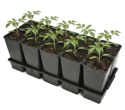 Produktbild von Garronda  Anzuchttray Pflanzenträger für Kulturtöpfe für Gewächshaus (Anzuchttray mit 10 x 2 L Töpfe) GD-KW-T