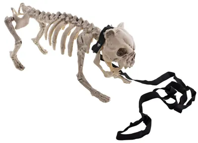 Zdjęcie produktu dla Halloweenowy szkielet psa, 43x15x21 cm