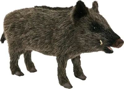 Produktbild von Hansa Creation - Kuscheltier - Wildschwein 52cm