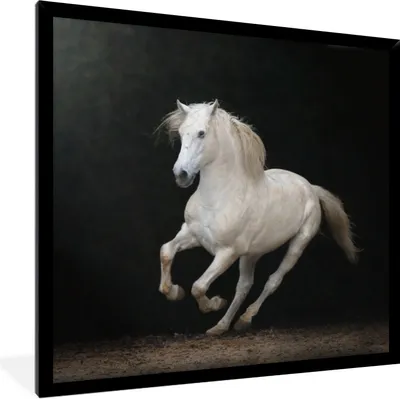Produktbild von MuchoWow® Gerahmtes Poster Pferde - Schwarz - Porträt 40x40 cm - Poster mit Schwarzem Bilderrahmen Wandposter Rahmen Foto Bilder - Mit Rahmen - Wanddekoration Schlafzimmer