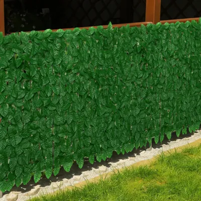 Immagine prodotto di Gardlov 25343 Schermo da balcone con foglie verde scuro 300 x 100 cm