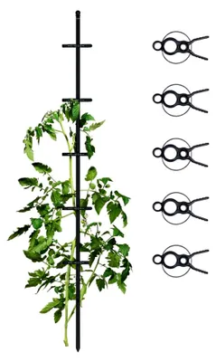 Produktbild von Pflanzenstütze für Tomaten mit Pflanzklammern