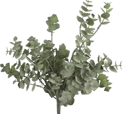Produktbild von Künstlicher Eukalyptus Dekozweig in Grün, blütenlos