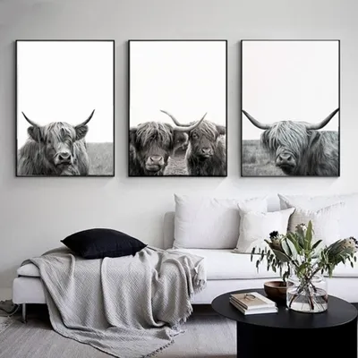 3er-Set Highland-Kuh-Poster, 50x70 cm, schwarz-weiß, ohne Rahmen