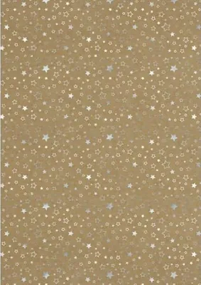 Produktbild von Designkarton Weihnachten 250g/qm A4 VE=25 Blatt Motiv 05 Sterne silber