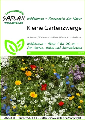 Image de SAFLAX  - Petits nains de jardin - 1000 graines - Mix