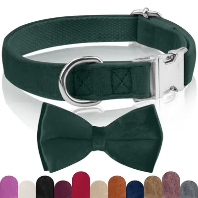 Imagen del producto de Collar para perros de franela, ajustable, con corbata desmontable, disponible en diferentes tamaños