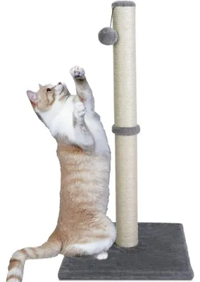 Produktbild von Elzusha - Kratzbaum mit Pfosten, Katzenbaum, 81 cm hoch, mit Sisalstrick für Wohnungskatzen