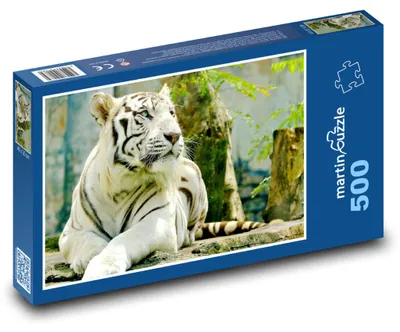 Obrázek produktu pro martinpuzzle - Puzzle 500 - Tygr ussurijský