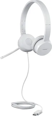 Produktbild von Lenovo 110 Stereo USB Headset