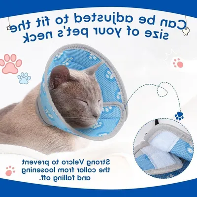 Verstellbares Katzenhalsband, anti-biss Sicherheitskragen, weiches Halsband für Katzen und kleine Hunde - Blau, Größe L