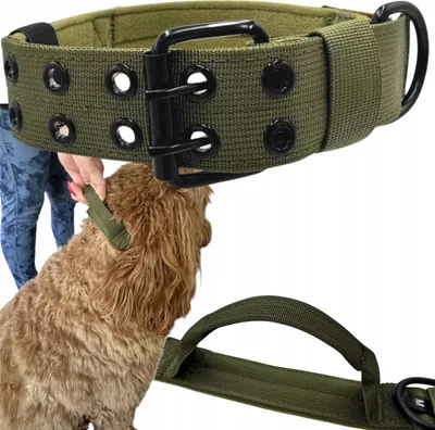 Image de Collier de chien en ruban avec anse, large, solide, réglable M 36-46
