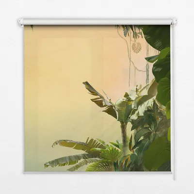 Produktbild von Seitenzug-Rollo Fensterrollo Jalousie - Lichtdurchlässig Springrollos - 120x240 cm - Pflanzenrahmen