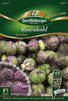 Produktbild von Rosenkohl 'Redarling' Quedlinburger Gemüsesamen