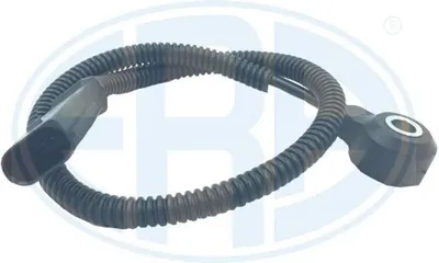 Image de Capteur de cliquetis ERA 551436A pour VW GOLF VI (5K1)